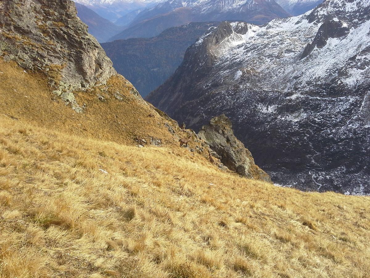 Lieu Secret Dans Les Alpes Suisses Villa Le Tretien Kültér fotó