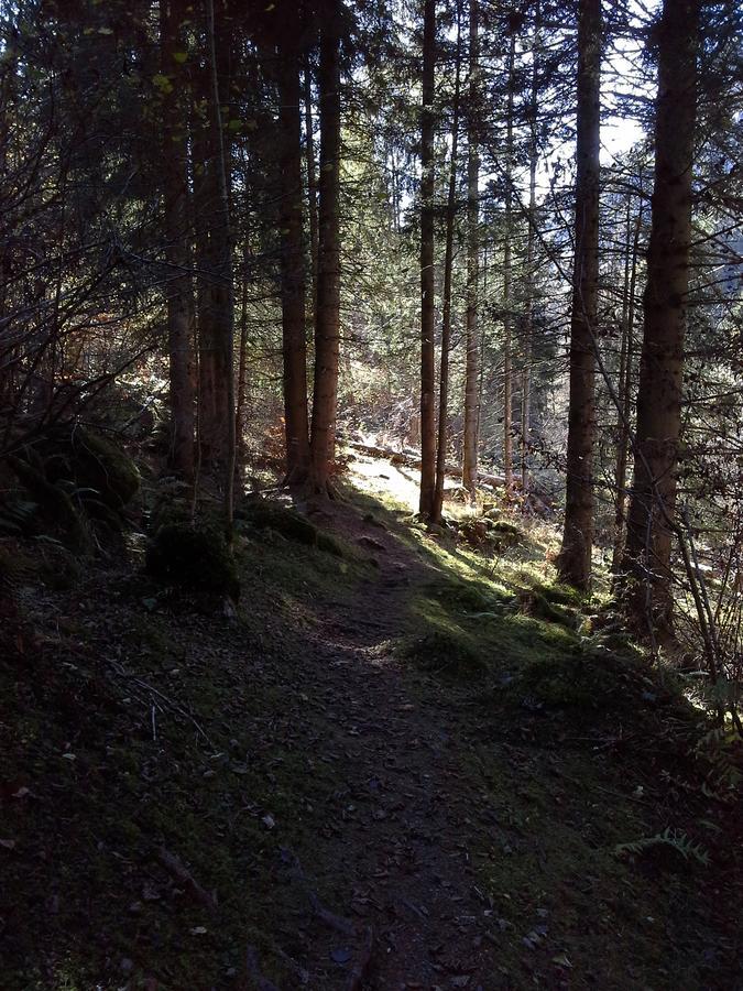 Lieu Secret Dans Les Alpes Suisses Villa Le Tretien Kültér fotó